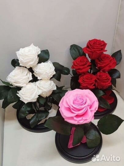 Розы оптом