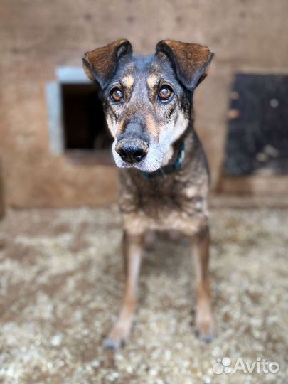 Старушка Магда не знала любви