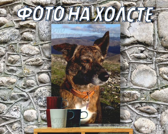 Печать фото на холсте