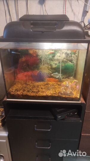 Аквариум 42*25*33