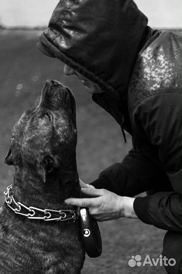 Фотосессия, фотограф