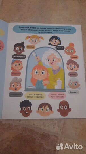 Тело человека clever