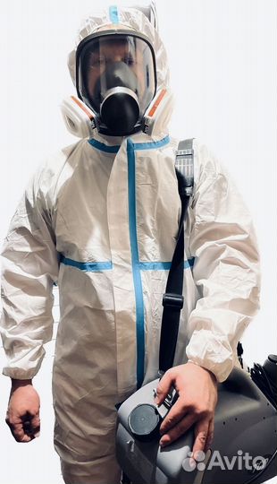 Дезинсекция