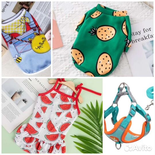 Много одежды и обуви для собак и кошек