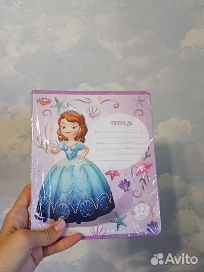 Набор тетрадей в косую линейку