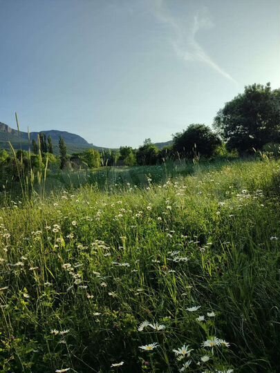 Участок 1,4 га (ИЖС)