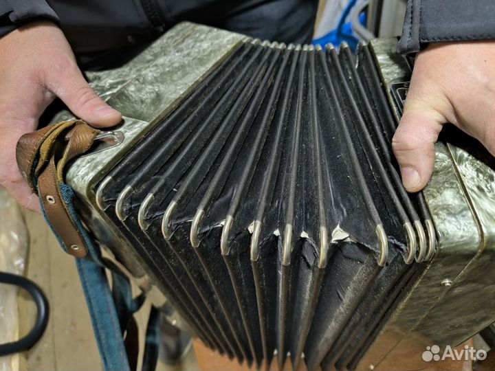 Баян тульский