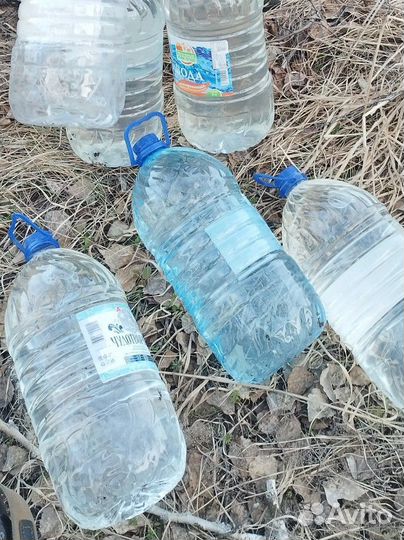 Берёзовый сок свежий по заказу