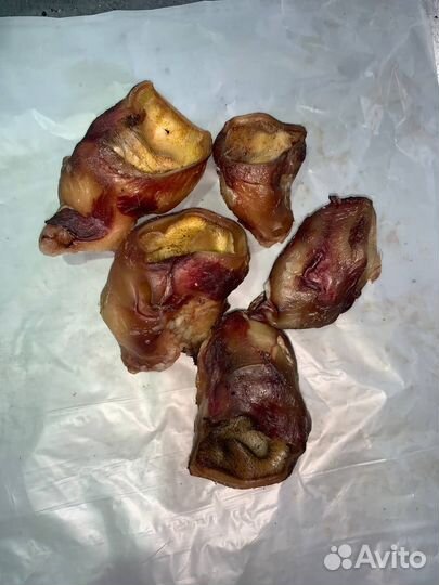 Сушеные лакомства для собак корм для собак