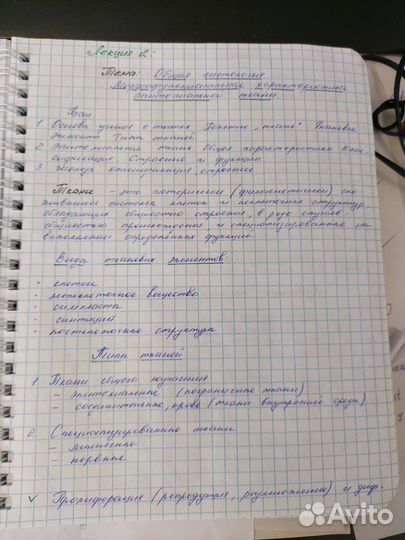 Перепишу и напишу лекции/ конспекты