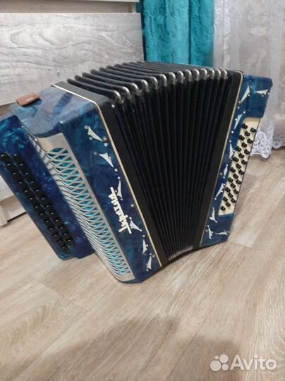 Гармонь Украина