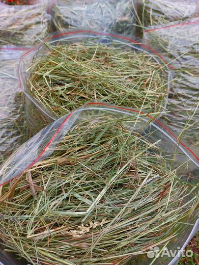 Сено луговое