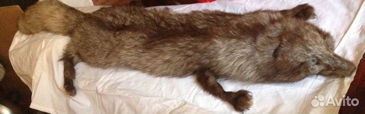 Мех Песец чулок