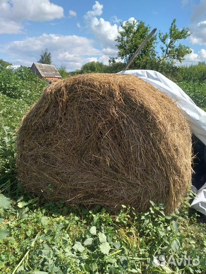 Сено в рулонах