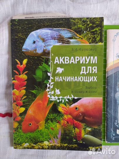Аквариум для начинающих книга 2013 г