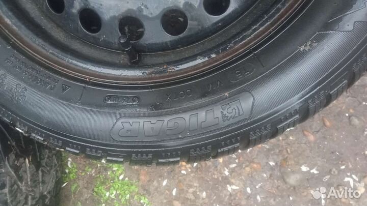 Tigar Winter 215/55 R16 97H