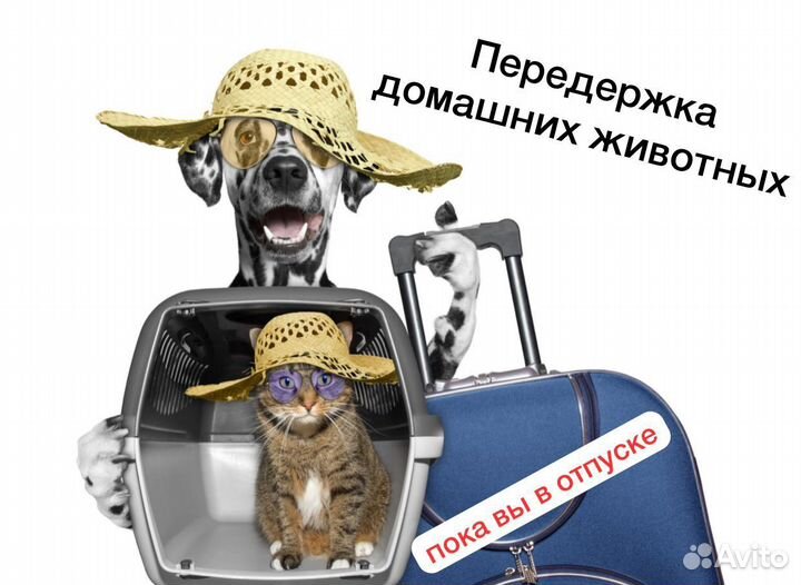 Передержка домашних животных