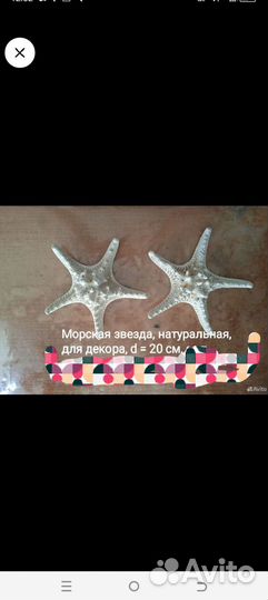 Морская звезда