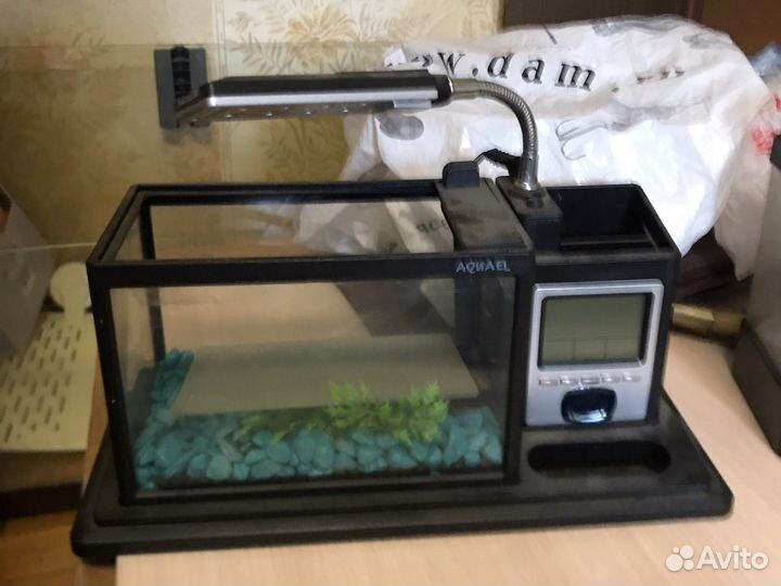 Аквариум - органайзер