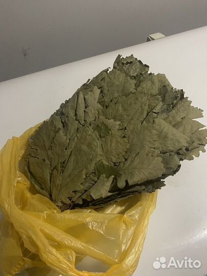 Дубовые веники для бани