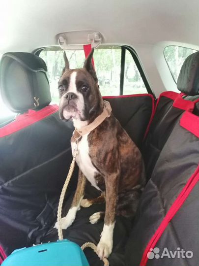 Автогамак 3в1 для перевозки собак, накидка