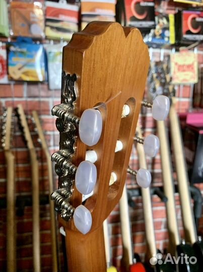 Классическая Гитара + Чехол (Испанская)