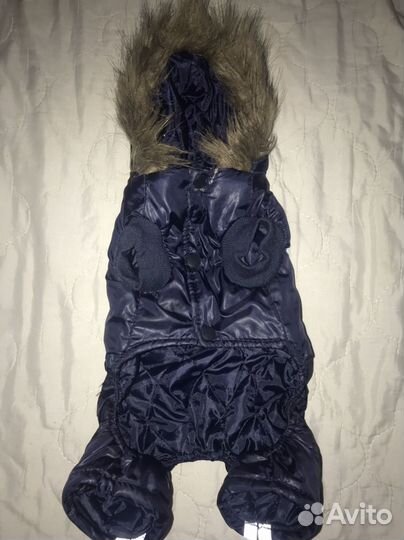 Одежда для собак мелких пород