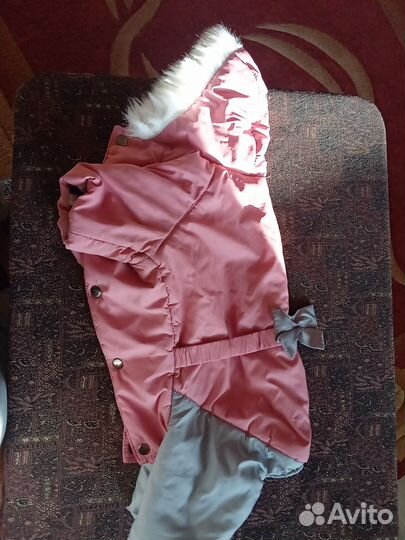 Комбинезон для суки