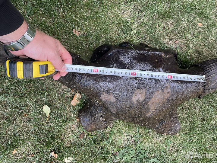 Рога буйвола