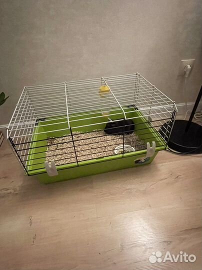 Клетка для грызунов крыс морских свинок