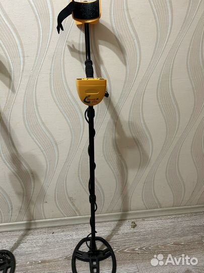 Металлоискатель в аренду MD 6250