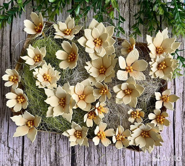 Наборы цветов