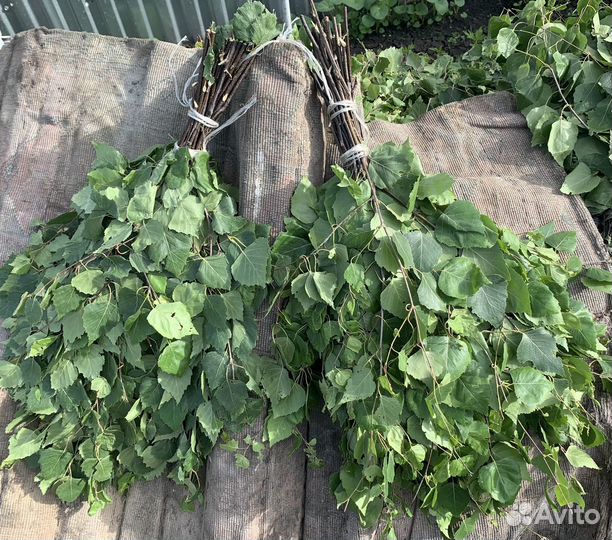 Березовые веники