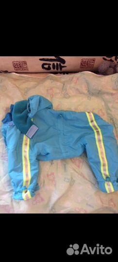 Одежда для собак для девочки