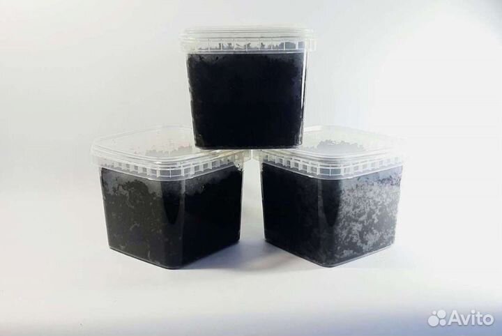 Мини вермиферма(калифорнийские черви)