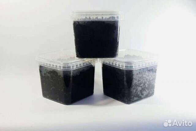 Мини вермиферма(калифорнийские черви)