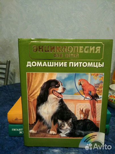 Энциклопедия