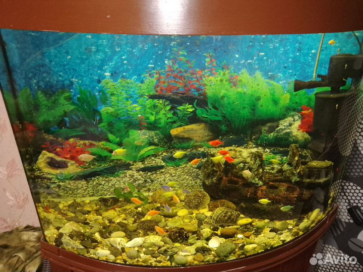 Аквариум с тумбой 250 литров