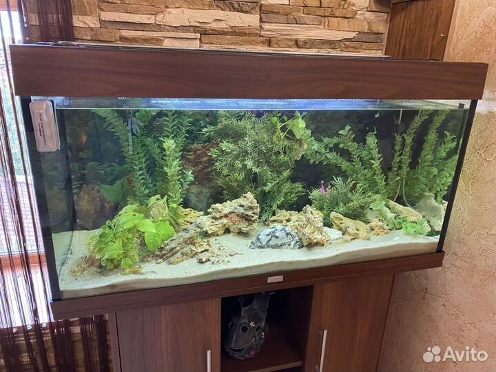Продам аквариум