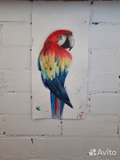 Картина попугай ара