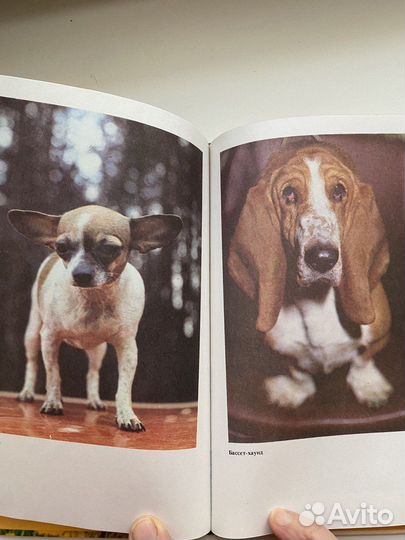Книга М.Г.Псалмов Книга собаковода