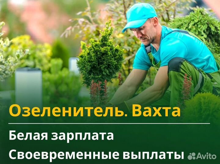 Озеленитель вахта с жильем и питанием