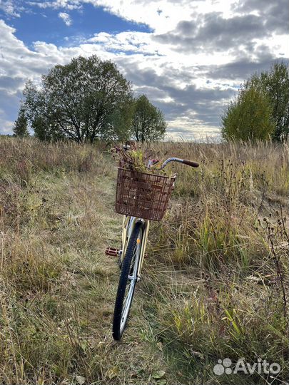 Аренда велосипеда