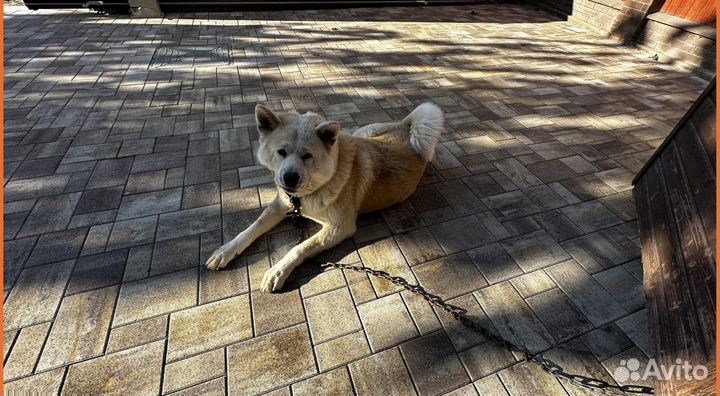 Тротуарная плитка Крупноформатная заказ от 120 м2