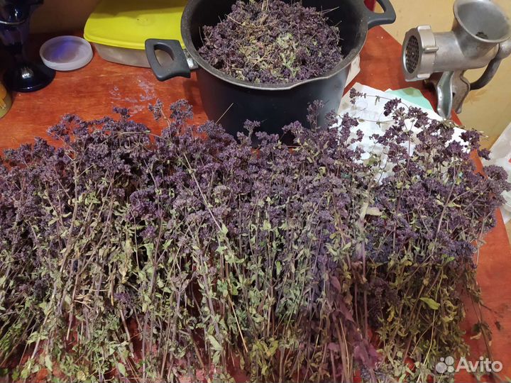 Душица сушеная