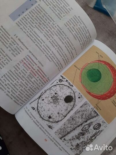 Биология углубленный курс