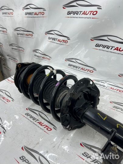 Амортизатор подвески передний левый Kia Carnival 3