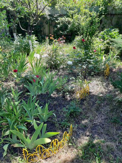 Дача 30 м² на участке 5 сот.