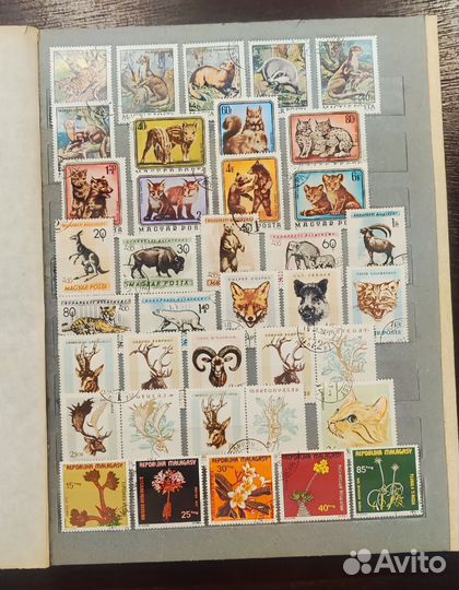 Большой альбом марок. Флора и фауна