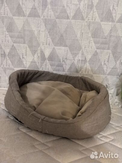 Зимний комбинезон для собаки + лежанка